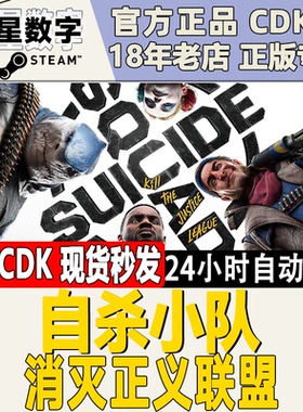 Steam国区KEY 自杀小队 消灭正义联盟 激活码CDKEY现货秒发