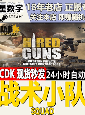 Steam正版国区KEY 战术小队 Squad 激活码现货秒发
