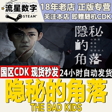 Steam正版国区KEY 隐秘的角落 The Bad Kids 激活码现货秒发