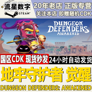 Steam正版国区KEY 地牢守护者觉醒 Dungeon Defenders激活码CDKEY