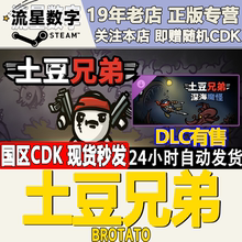 Steam正版国区KEY 土豆兄弟 Brotato 激活码CDKEY现货秒发