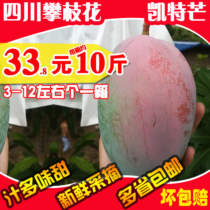 四川凱特芒中大果非小臺農芒小臺芒帶箱約10斤新鮮非甜心金煌水