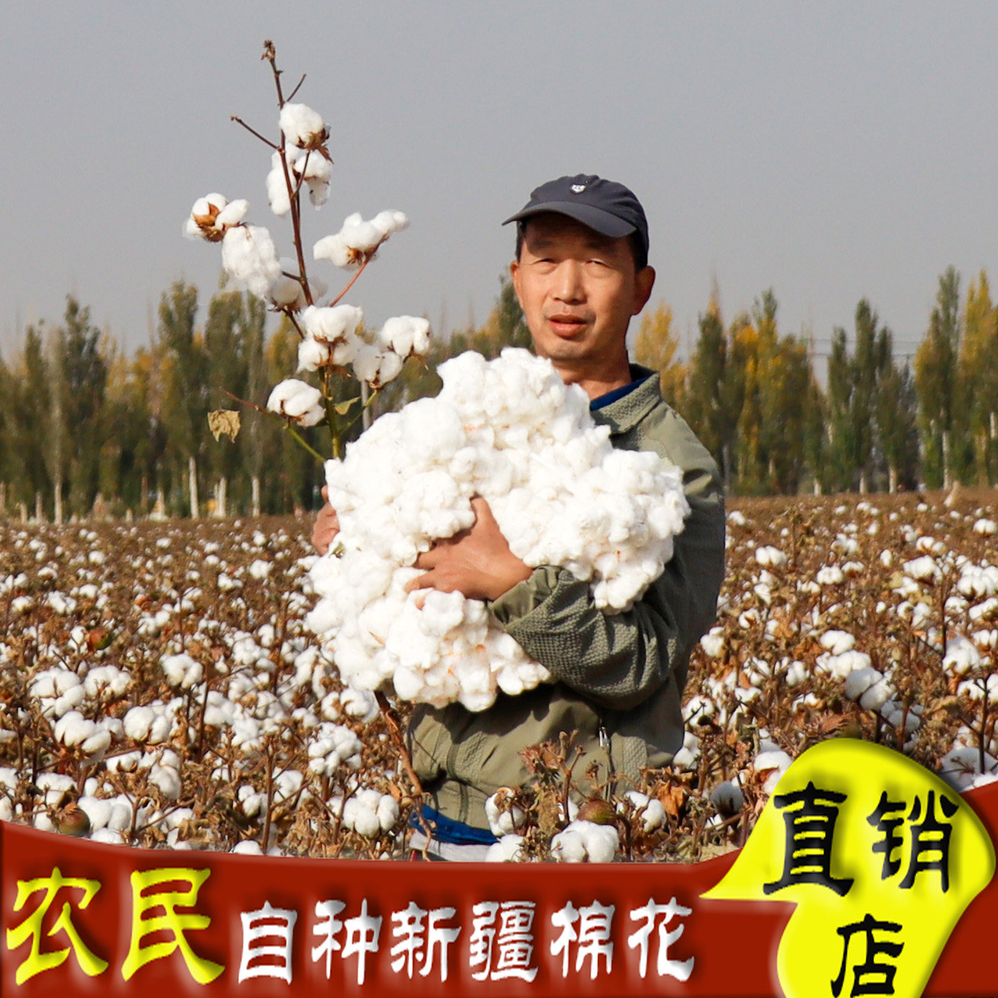 新疆棉花原始生正宗一级优质带棉籽天然长绒棉花朵散装填充未加工
