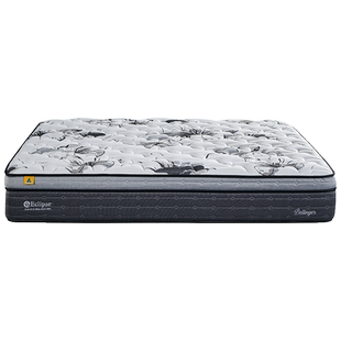 【线下同款】eclipse/美国伊丽丝澳洲进口分区护脊深睡床垫贝林格