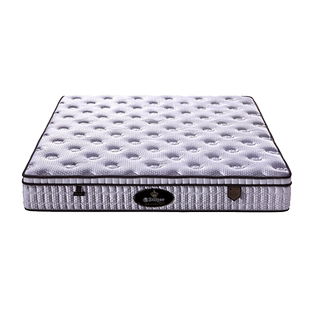 【线下同款】eclipse/美国伊丽丝深睡护脊弹簧床垫防螨百年纪念