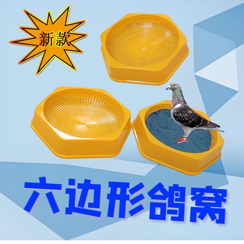 新款鸽子窝塑料窝鸽用品用具鸽蛋窝巢盆鸟窝鹦鹉信赛鸽具大全包邮