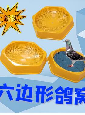 新款鸽子窝塑料窝鸽用品用具鸽蛋窝巢盆鸟窝鹦鹉信赛鸽具大全包邮