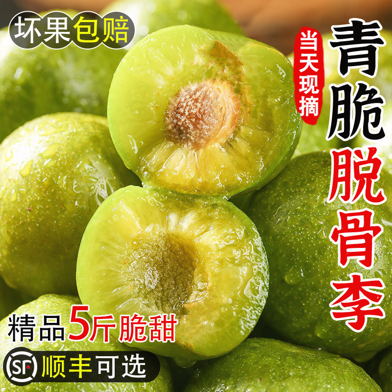 四川青脆李水果新鲜5斤净重整箱酸甜脆爽孕妇果脱骨李子现摘脆李