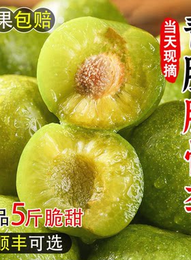 四川青脆李水果新鲜5斤净重整箱酸甜脆爽孕妇果脱骨李子现摘脆李