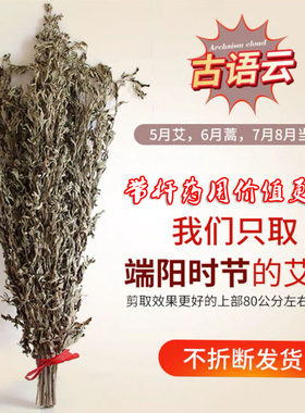 新鲜端午节驱蚊植物香薰干艾草