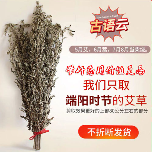 新鲜端午节驱蚊植物香薰干艾草