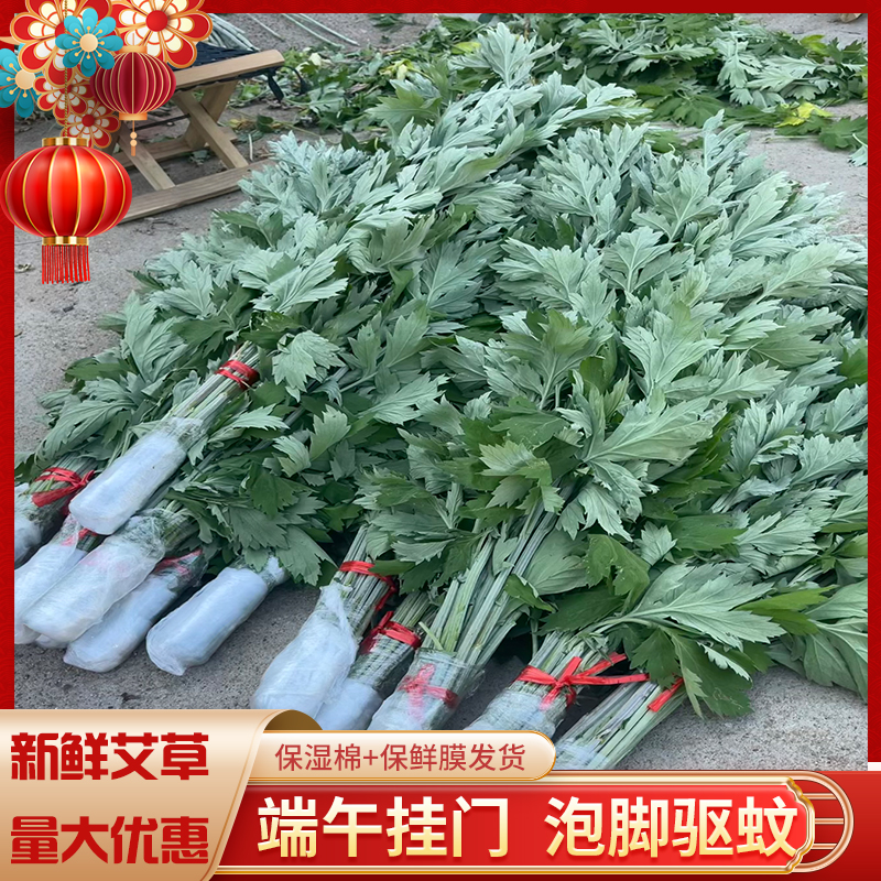 新鲜艾草端午节整棵挂门窗驱蚊带杆艾叶草菖蒲门挂件家用花束环