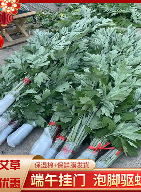 新鲜艾草端午节整棵挂门窗驱蚊带杆艾叶草菖蒲门挂件家用花束环