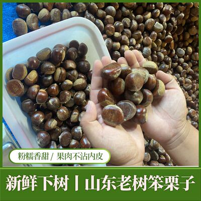皮薄肉厚内皮不粘果肉