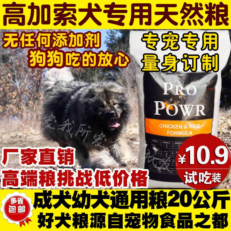 成犬高加索营养膳食通用狗粮幼犬