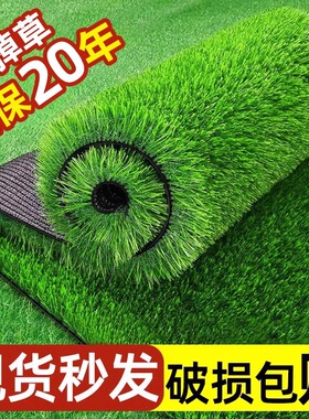 草坪仿真地毯人工假草皮户外铺垫幼儿园塑料人造草坪绿色草地垫子