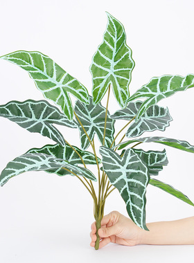 仿真植物仙芋叶绿植装饰散尾葵假花艺盆栽造景发财树塑料仿生叶子