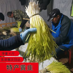 顺丰包邮年前不停河北深州特产黄韭菜西安庄正宗头茬送礼现割现发