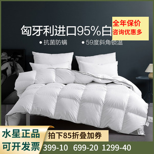 水星家纺羽绒被95白鹅绒若伊南汐抗菌防螨匈牙利鹅绒冬被加厚被芯