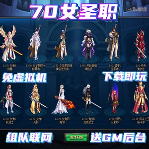 dnf单机版 联网地下城与勇士台服女圣职70 60 86 90 100 110送gm