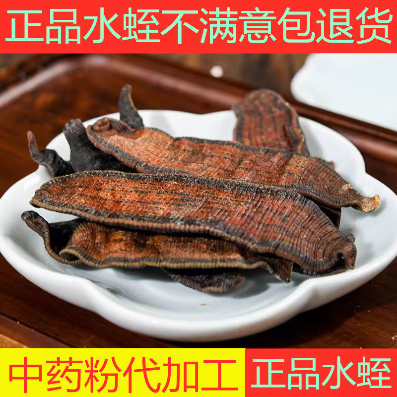 中药材水蛭水蛭干250g野生水蛭吊干蚂蟥干吸血亮片宽体蚂蟥水蛭粉