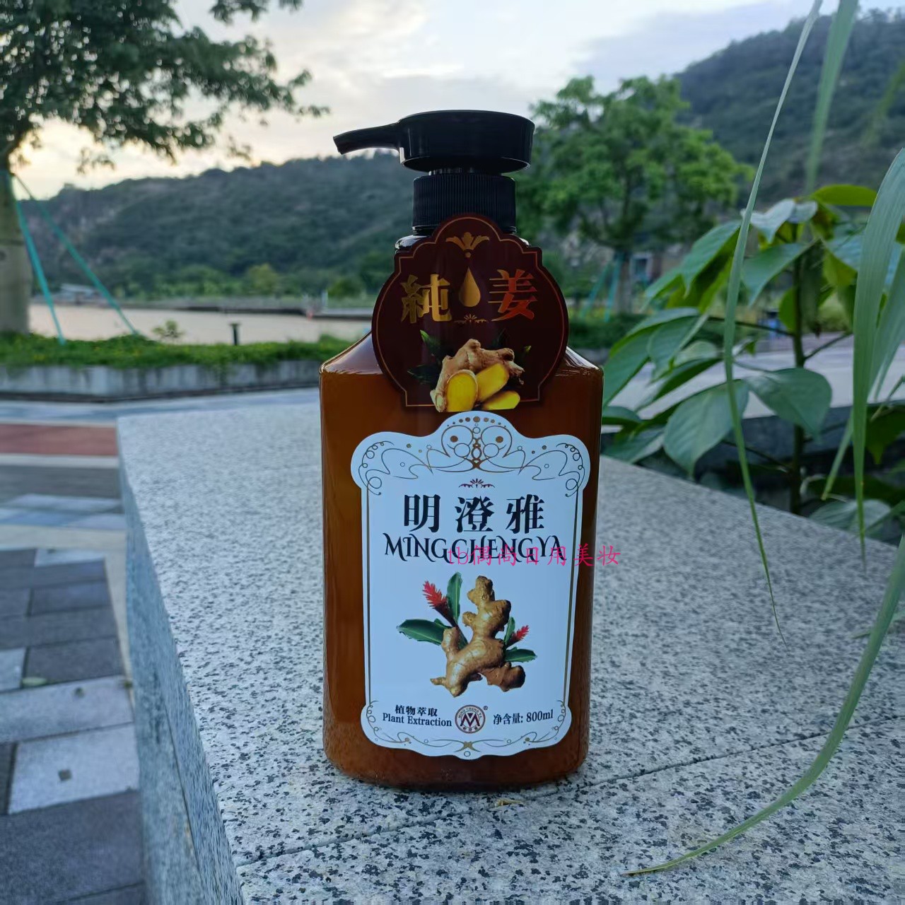 正品明澄雅纯姜营养滋润洗发露800ml 去屑止痒防脱固发修护滋养