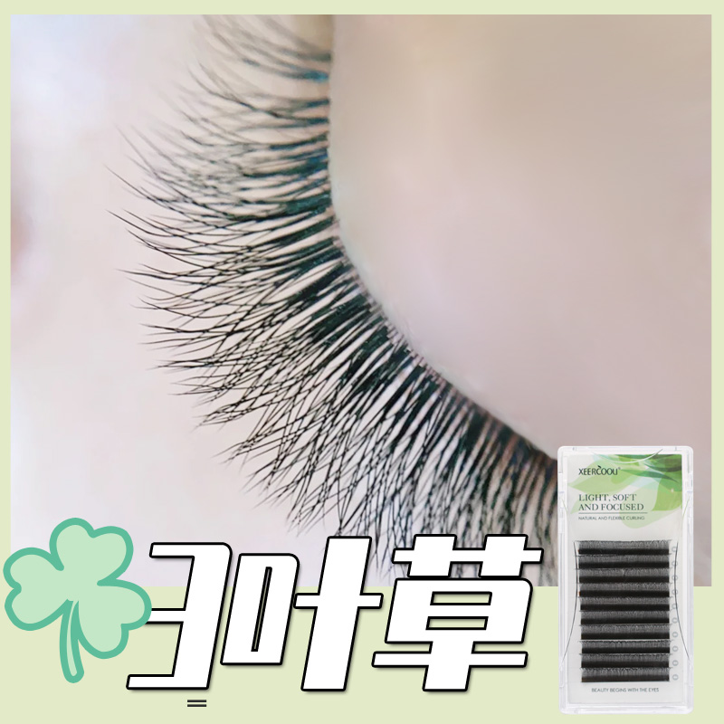 睫毛国三叶草开花y型自然