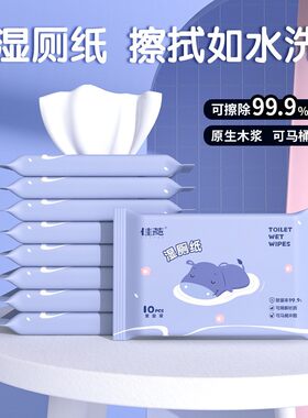家用湿厕纸佳燕清洁卫生/