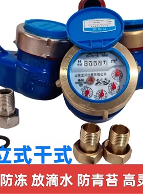 干式防冻水表4分6分家用防青苔高灵敏防滴水立式上进下进横式水表
