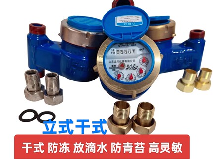干式防冻水表4分6分家用防青苔高灵敏防滴水立式上进下进横式水表