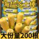 海盐芝士棒咸味夹心米果卷寝室网红解馋小零食休闲食品整箱便宜