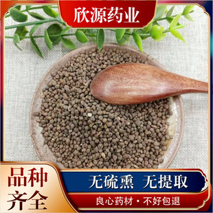 云南野生中药材急性子 凤仙花子 透骨草 凤仙花 指甲花 正品包邮