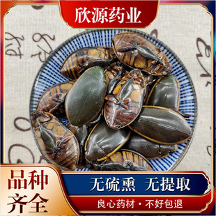 金边龙虱中药材100克包邮药用食用另售全蝎 蟑螂 水鳖虫龟板蜈蚣