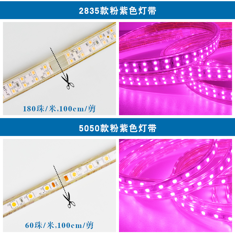 粉色情趣客厅吊顶紫罗兰贴片灯带