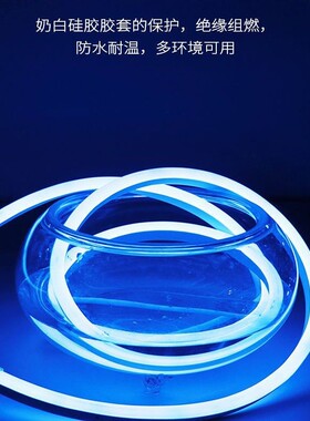 2025新款LED软灯带12V防水户外婚庆硅胶霓虹灯饰家居客厅灯带