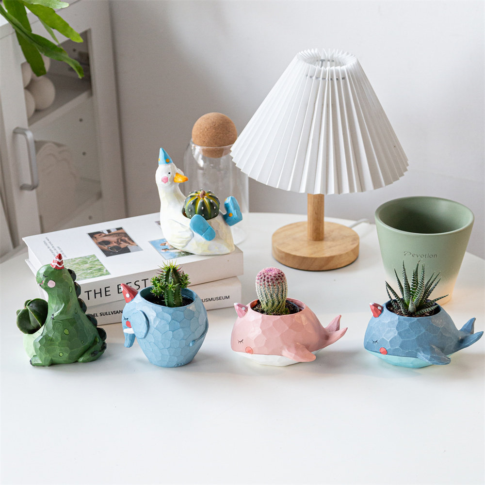 卡通花盆仙人球组合套餐无刺开花多肉植物盆栽幼儿园礼物室内绿植