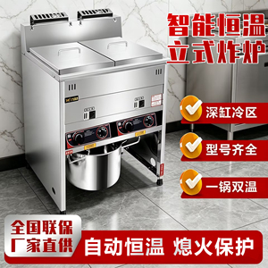 豹鼎油炸锅双缸燃气炸串摆摊炸锅