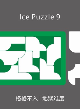 10级高难度 异形拼图 Puzzle29块 格格不入 成人学生礼物益智玩具