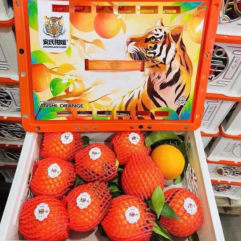 新鲜水果四川丹棱安氏爱媛38号果冻橙无核橙桔子5斤大果多地包邮