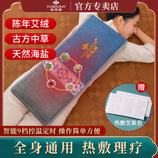 俞兆林艾草中药热敷理疗包电加热全身通用中医院同款腰腹肚艾灸袋