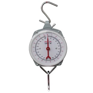 掛鉤秤 5kg10kg15kg.50KG.100kg.200kg手提秤 彈簧秤 吊秤 鉤子秤