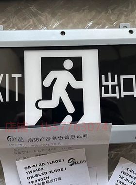 海洋王BLZD-1LROE I 1W9402H消防应急标志灯具