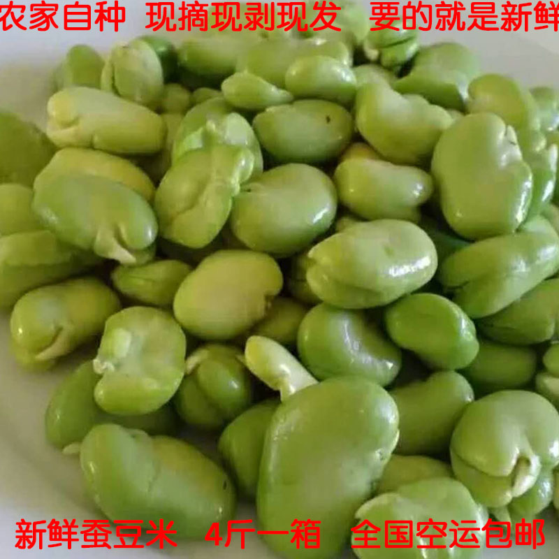 蚕豆云南时令蔬菜农家新鲜蚕豆米胡豆罗汉豆兰花豆去皮豆米青蚕豆