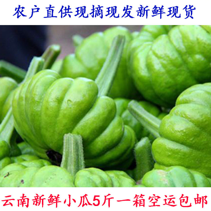 新鲜蔬菜 云南土特产农家新鲜南瓜姜柄瓜 小南瓜野菜 鲜面瓜 包邮