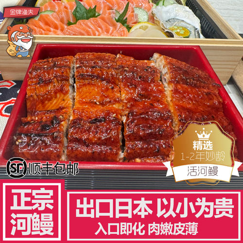 出口品质蒲烧烤鳗鱼顺丰包邮