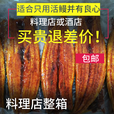 半件10斤  烤鳗鱼蒲烧鳗鱼饭寿司即食日式酒店料理店高端商用肉厚