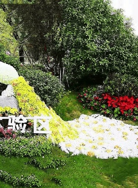 花艺孔雀户外美陈凤凰