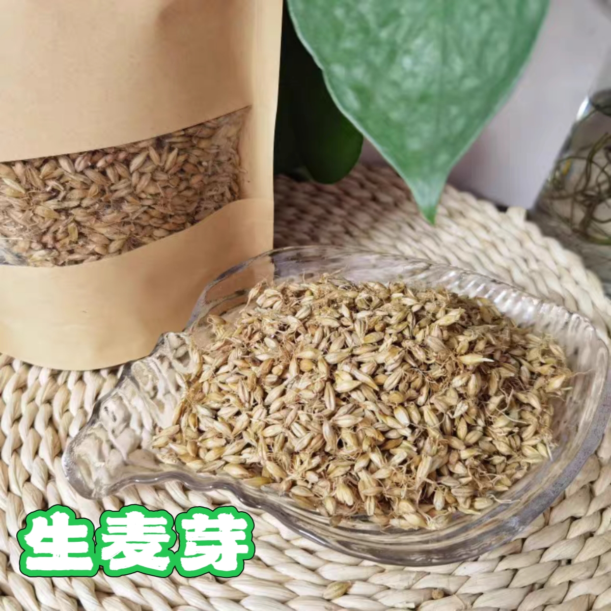 生麦芽，生发胃之气，日常煮麦芽茶喝