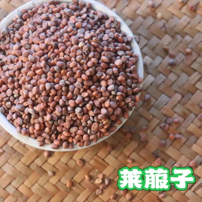 莱菔子 消积加倍，它可让消化道的气向下行走，帮助积食糟粕排出