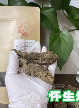 古怀庆府所产的生地 道地药材 裹土低温干燥 生品切面黄紫 非黑色